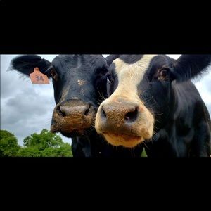 Meet your Posher, Ethan